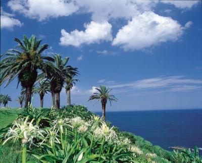 Miyazaki 5C'S Hotel Dış mekan fotoğraf